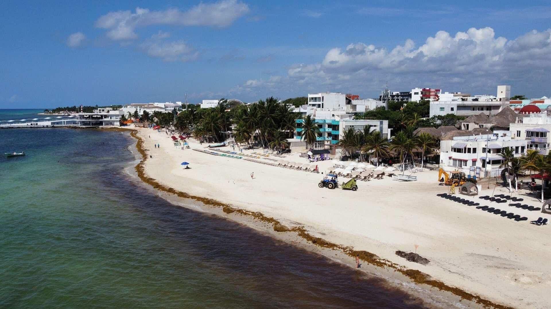 Mancha de Sargazo se Reduce 15%
