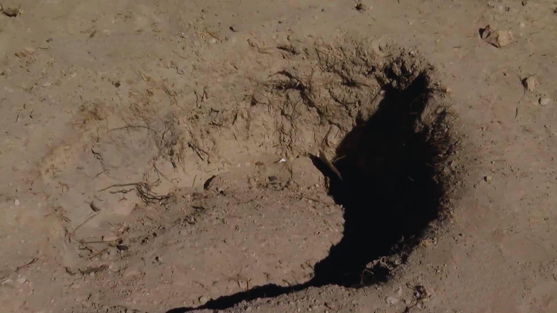 Entregaron a Familias 29 Cuerpos Encontrados en "El Willy", en Casas Grandes