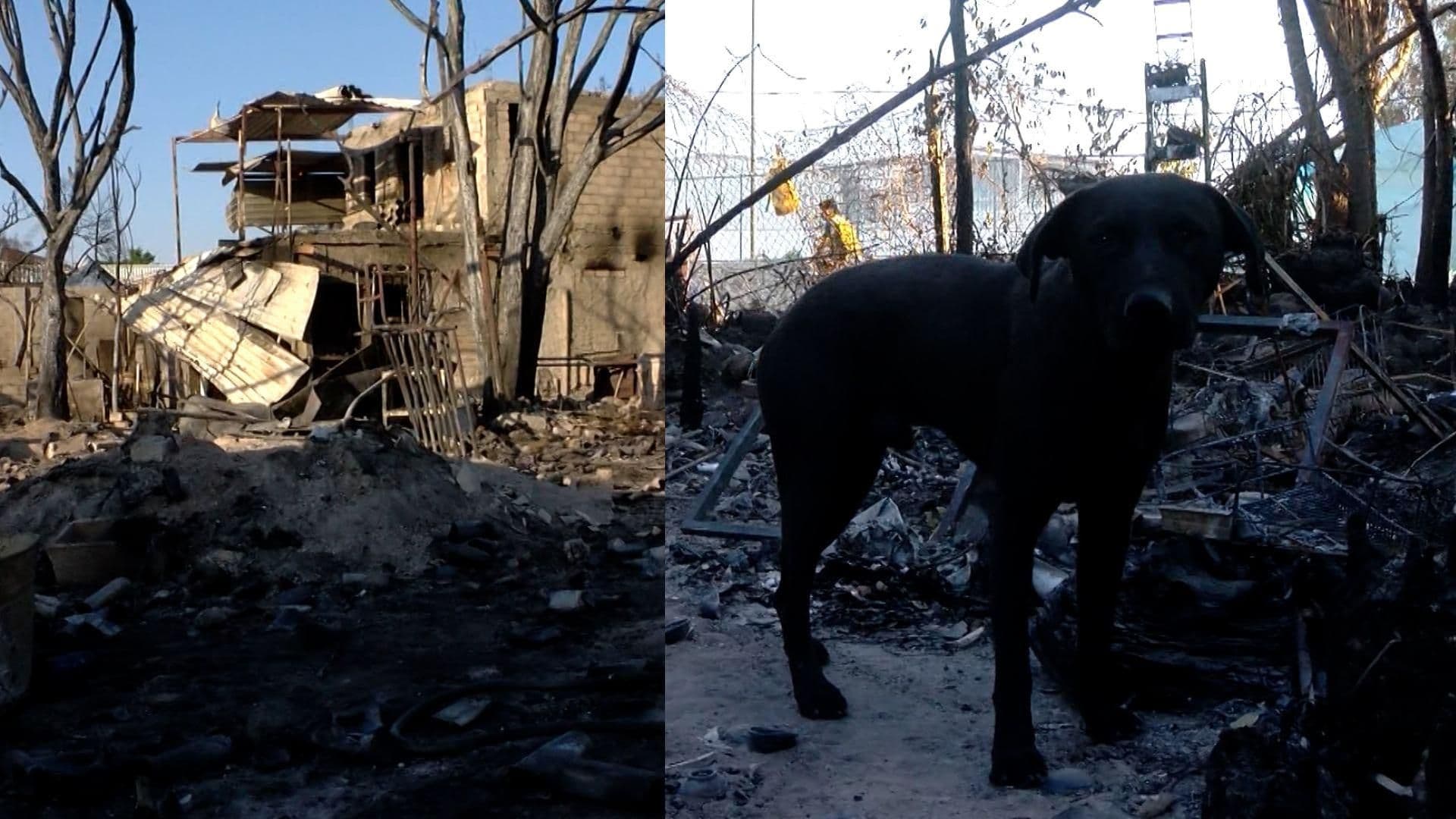 Personas que se Quedaron sin Hogar tras el Megaincendio en el Álamo, Temen por su Seguridad
