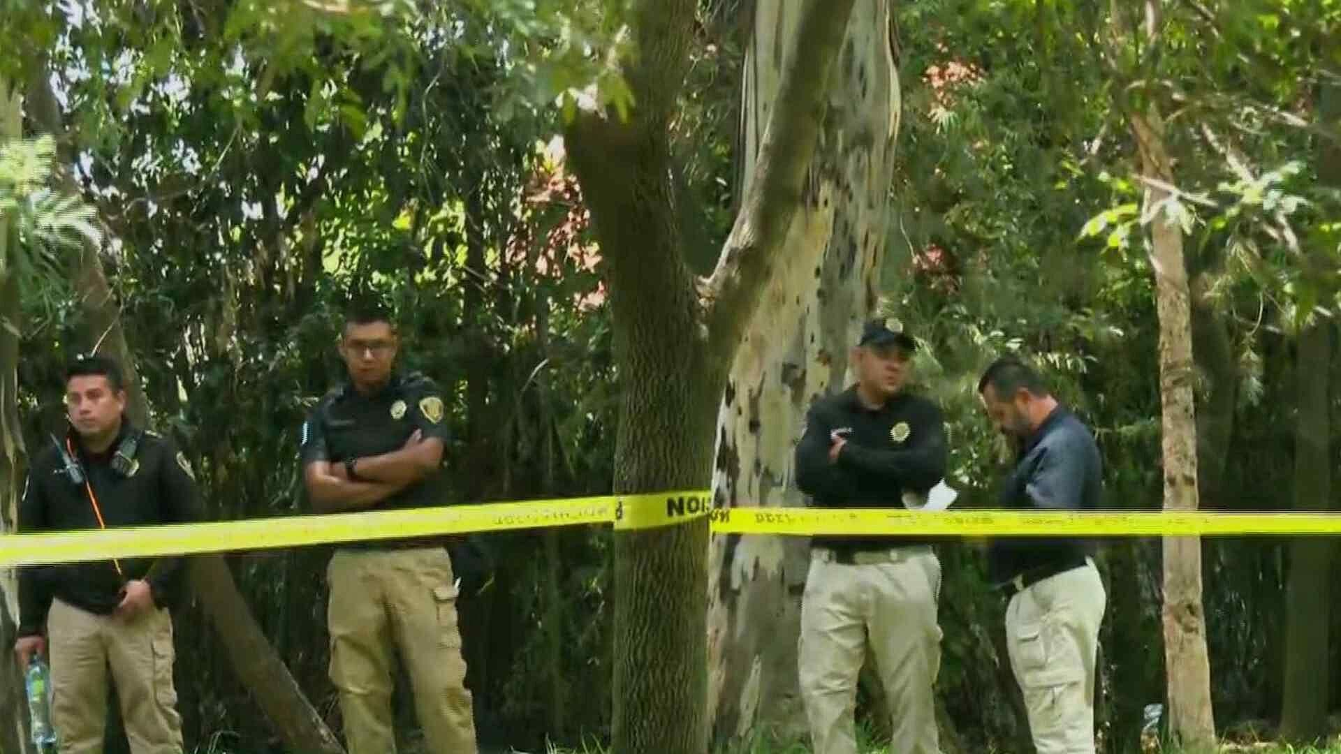 Caso de Perritos Desollados en Xochimilco: "Martí Batres No Ha Hecho Nada", Activista