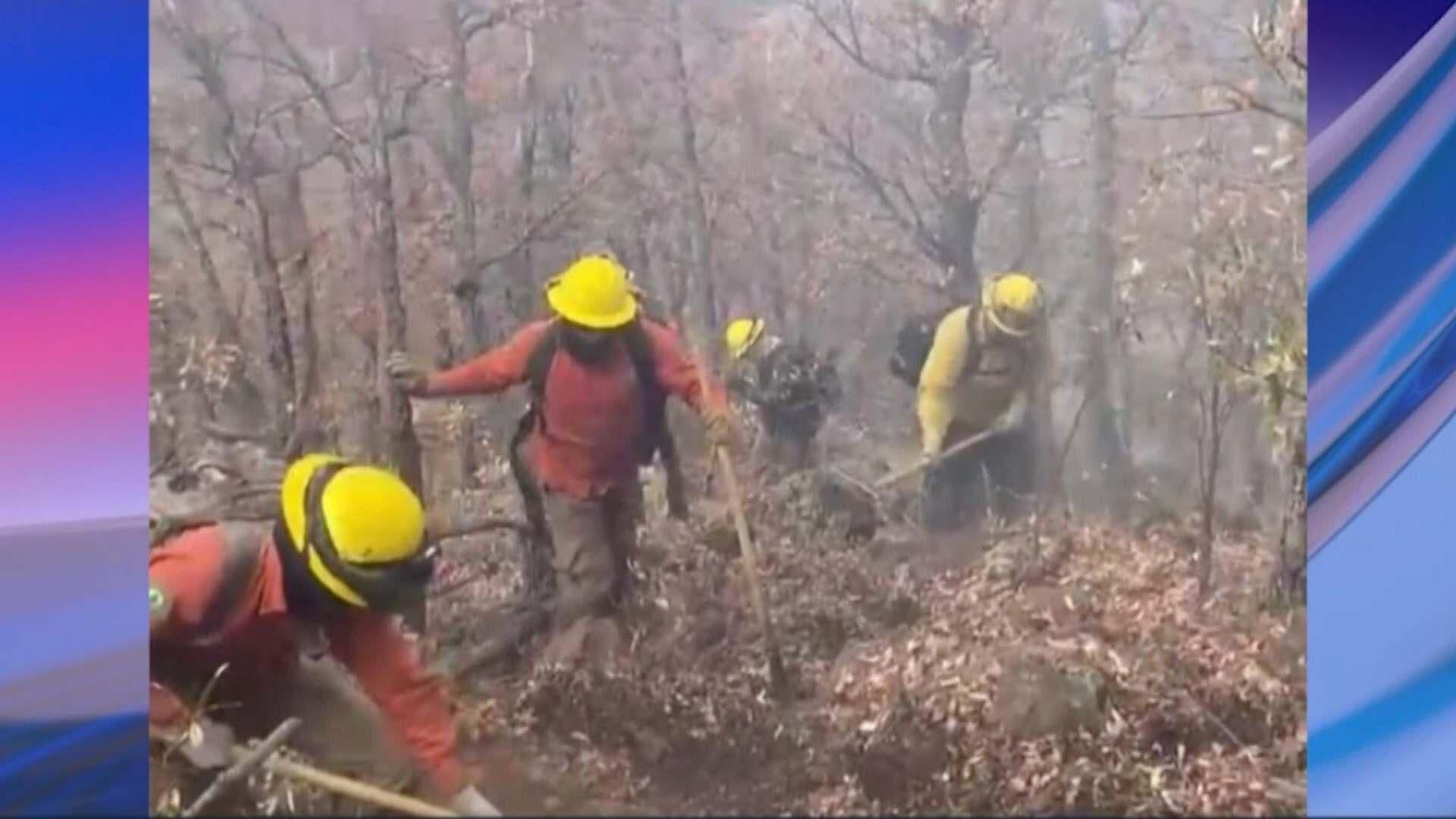 Reportan 80% de Liquidación en Incendio Forestal en Nácori Chico