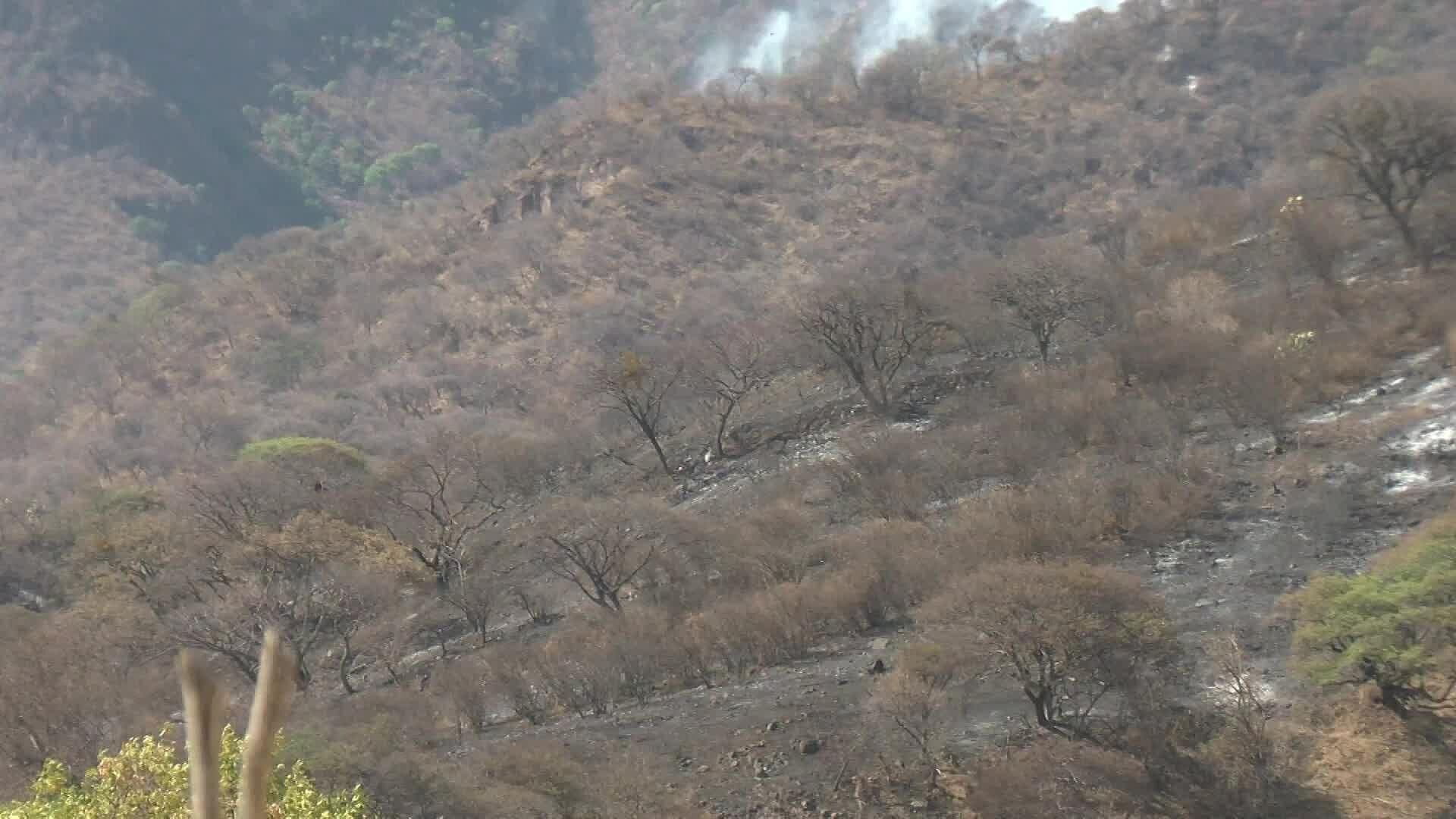 Por Tierra y Aire Se Combate el Incendio de El Cerro Viejo
