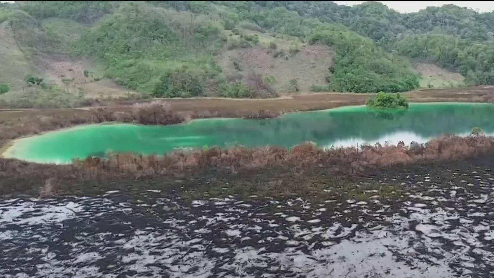 Devastación en La Selva Lacandona por Incendio Forestal en Chiapas