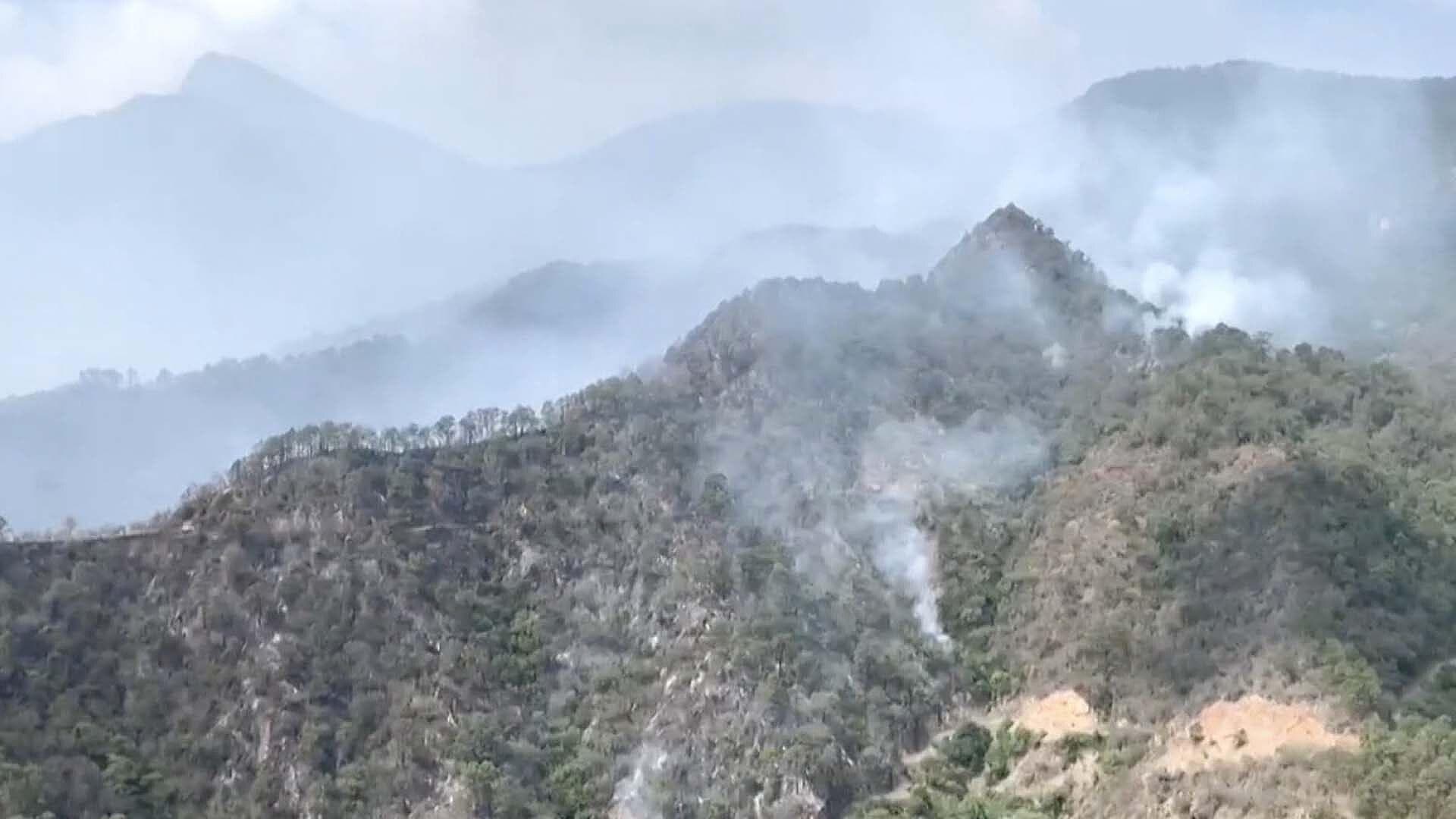 Reportan 370 Hectáreas Afectadas por Incendio Forestal en Biósfera El Cielo