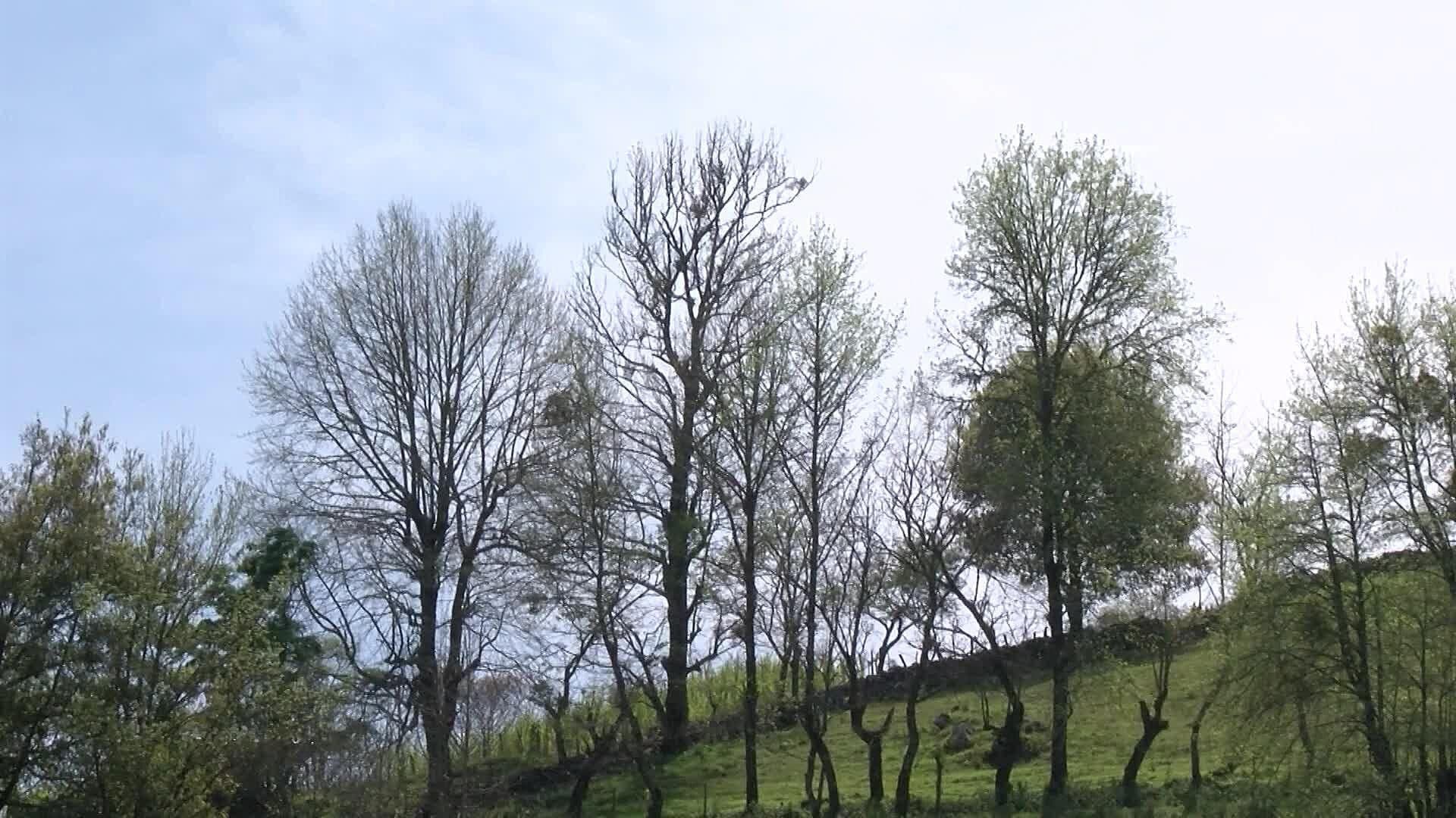 Temperaturas Extremas de Hasta 45 Grados Celsius en la Sierra Gorda Queretana