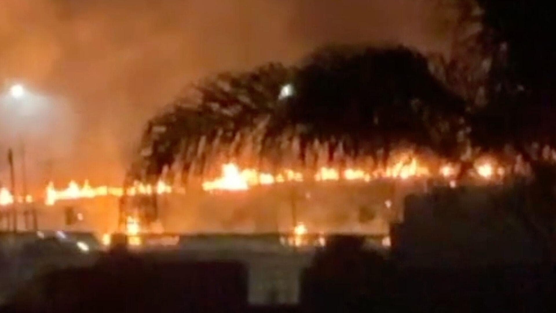 Se Queman Cuatro Hectáreas del Cerro Diego Rivera en Guanajuato