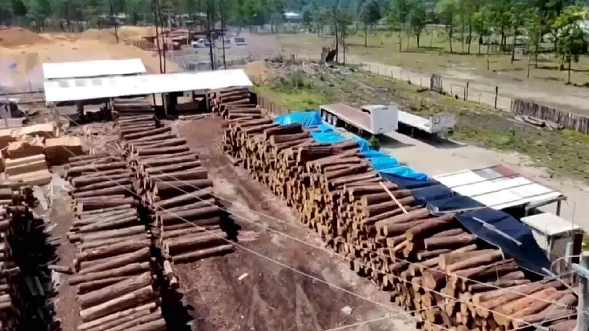 Operativo en Chiapas Aseguró 12 Aserraderos Clandestinos en Selva Lacandona