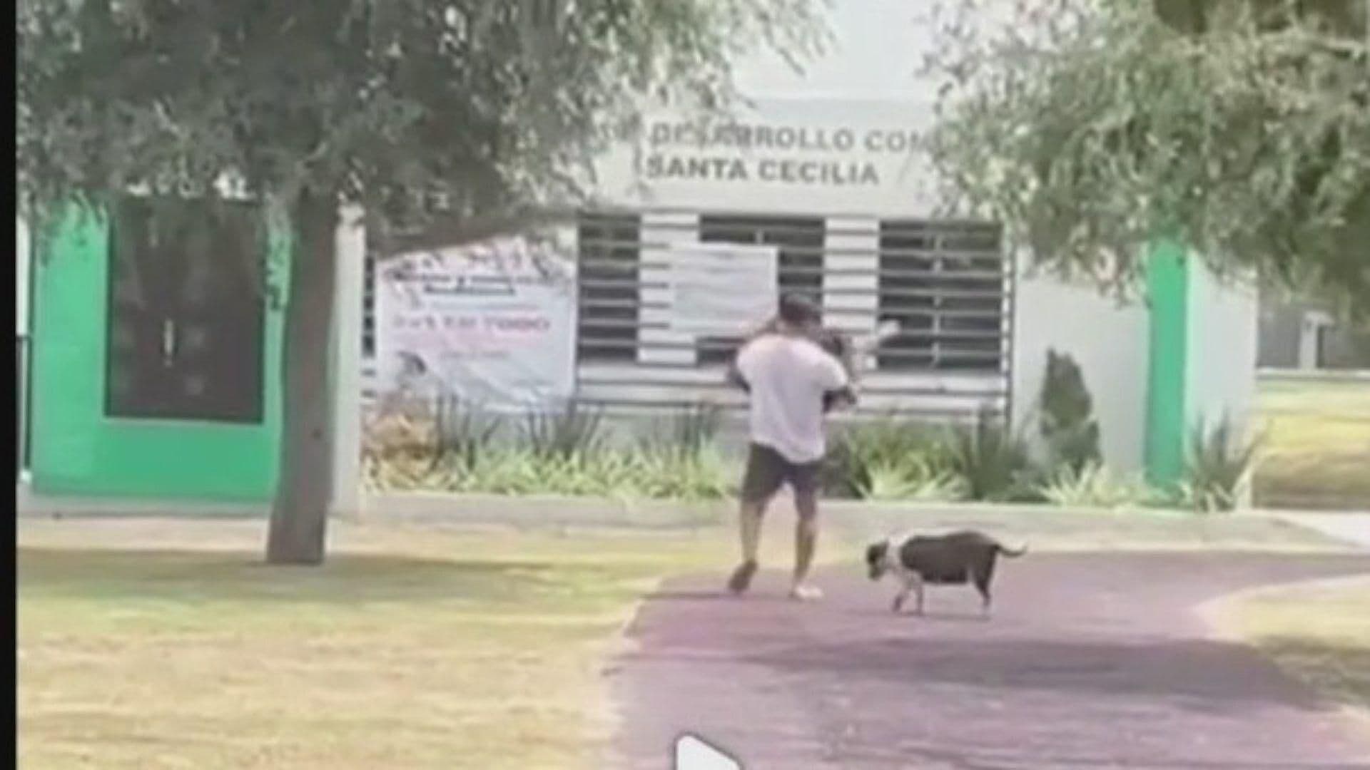 Denuncian Presunto Maltrato Animal en Plaza Pública en Apodaca