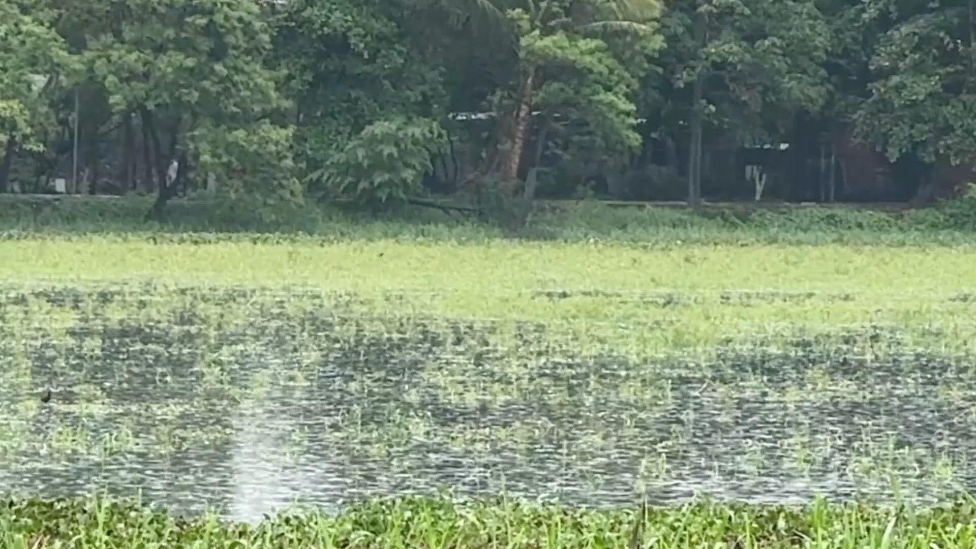 La Laguna Lagartos se Recupera con las Lluvias tras Estiaje