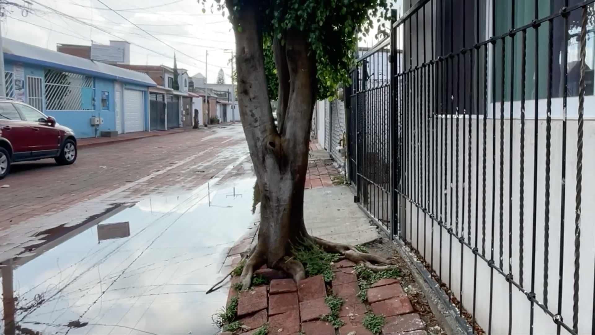 Reportan Problemas en una Vivienda de la Colonia Santa Monica en Querétaro