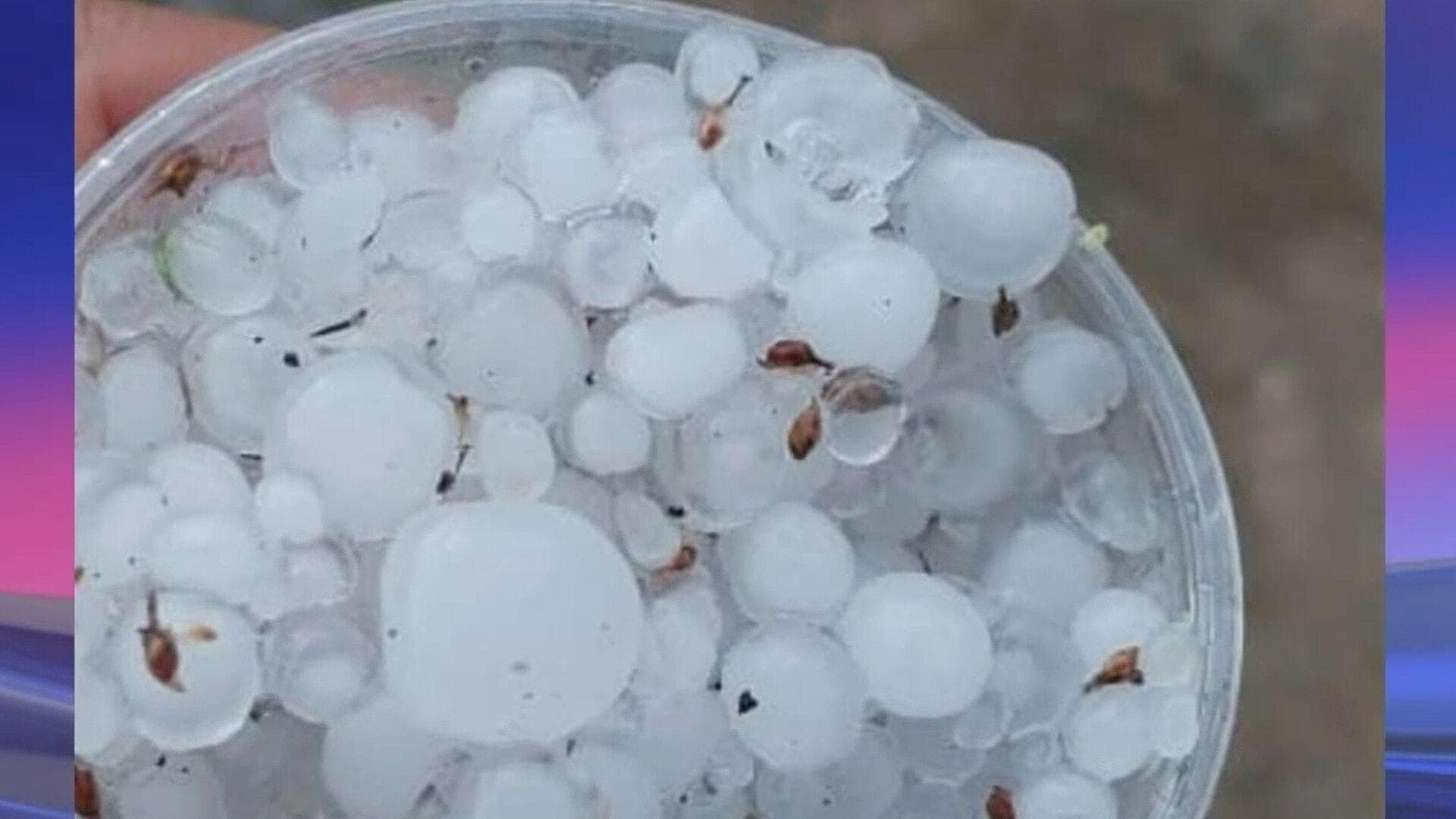 Tras una Larga Sequía, la Lluvia y el Granizo Sorprenden en la Sierra de Zongolica