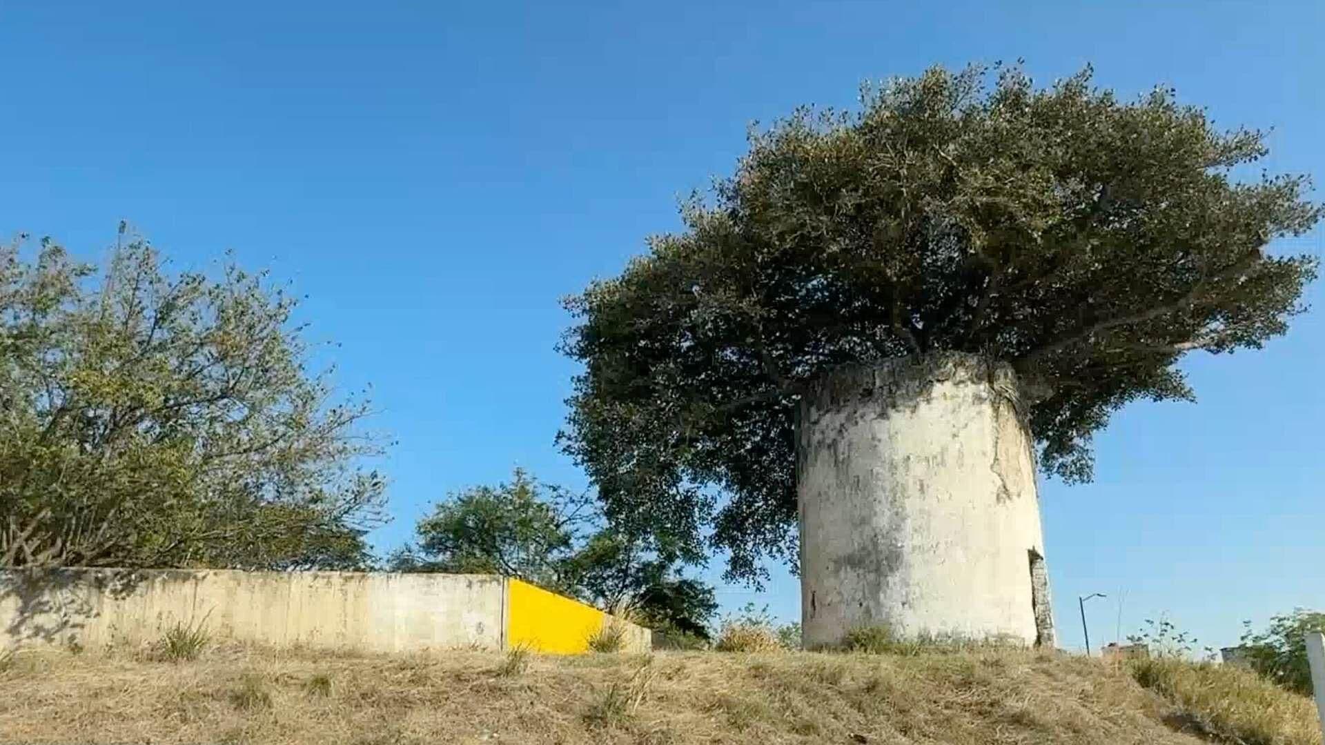 Torreón del Molino de Viento Ubicado en Tejería, Veracruz Permanece en el Abandono