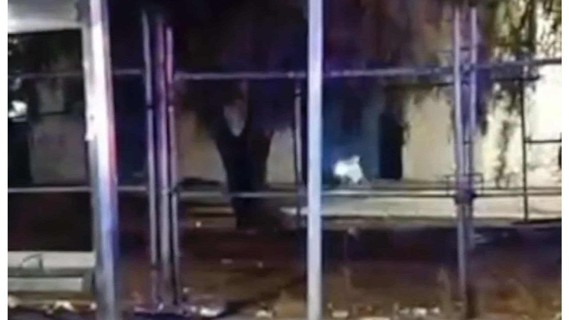 Lo Estaban Esperando, Cuando Atacan a Balazos a un Hombre en la Colonia El Dorado