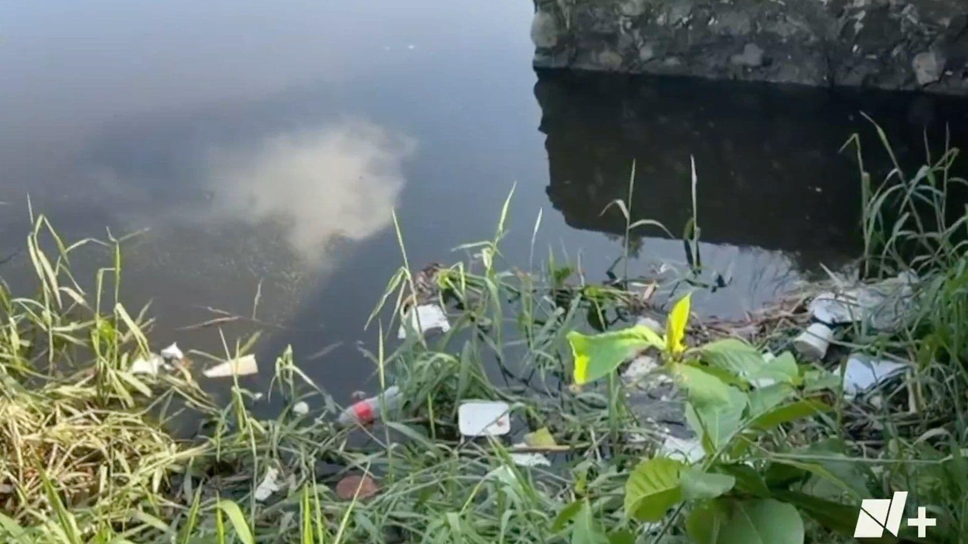 Por las Lluvias, la Laguna Lagartos se Encuentra Llena de Agua y Basura