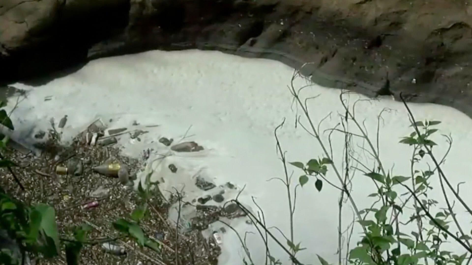 Agua de Puebla se Deslinda de Contaminación del Río Alseseca