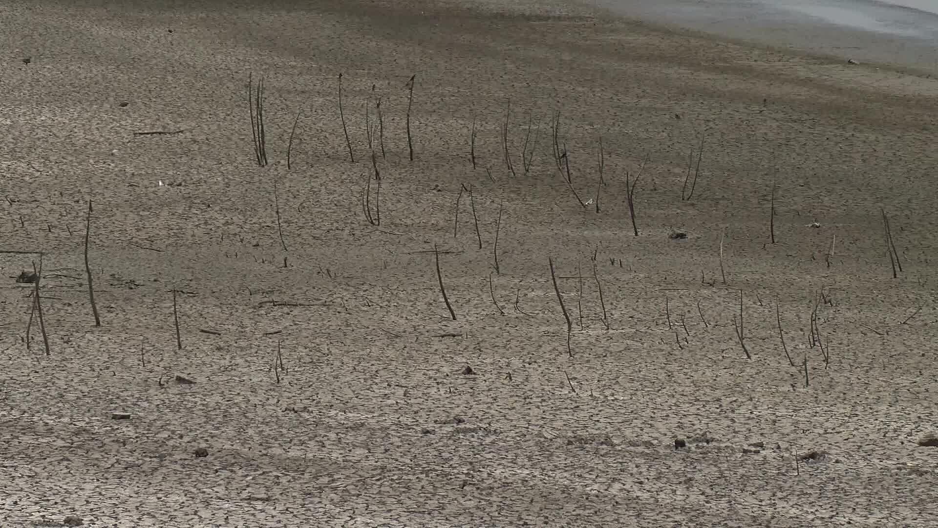 Sequía Tiene a la Presa El Palote con Poca Agua