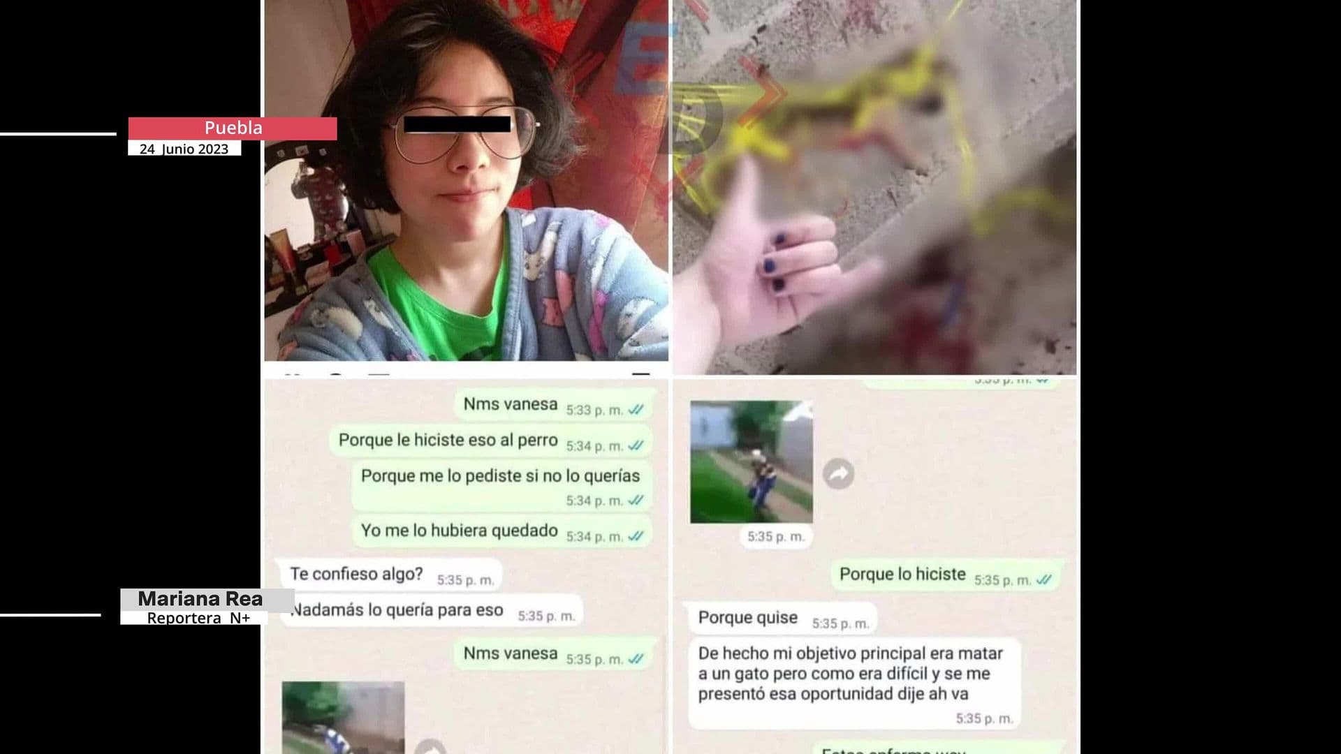 Video