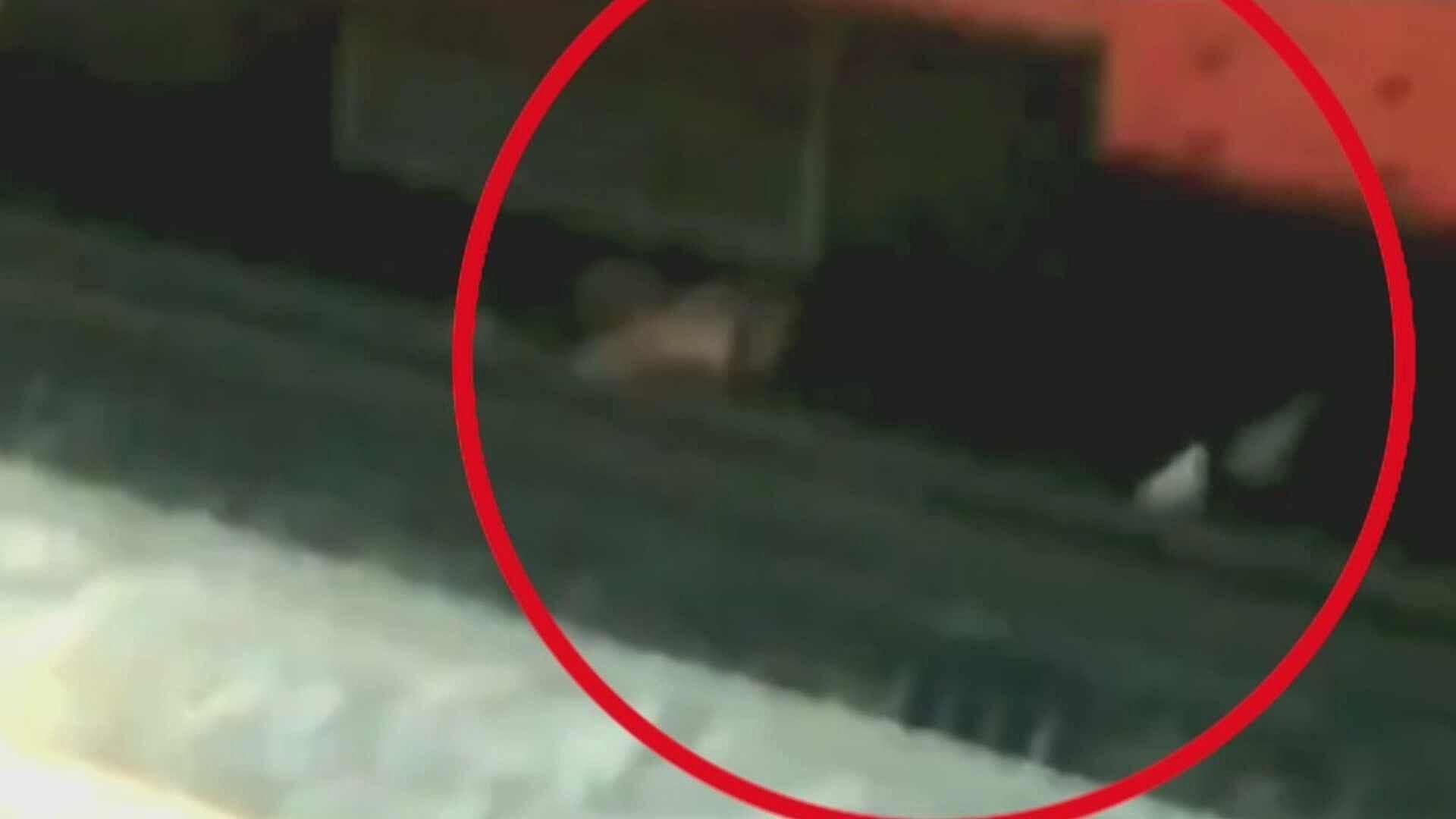 Mujer Queda Debajo del Tren en la Estación La Raza en la L5 del Metro CDMX