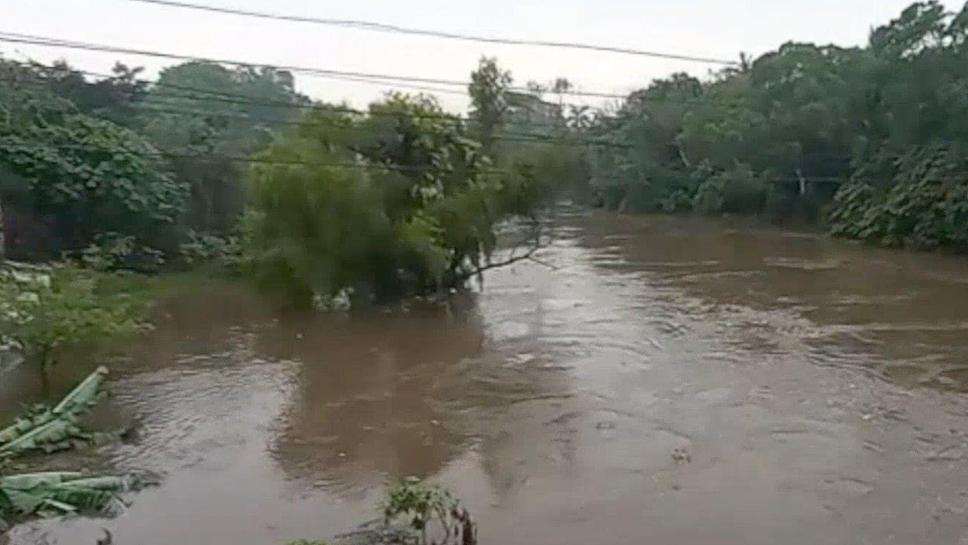 Incrementa el Nivel del Río Jamapa en el Municipio de Medellín, Veracruz