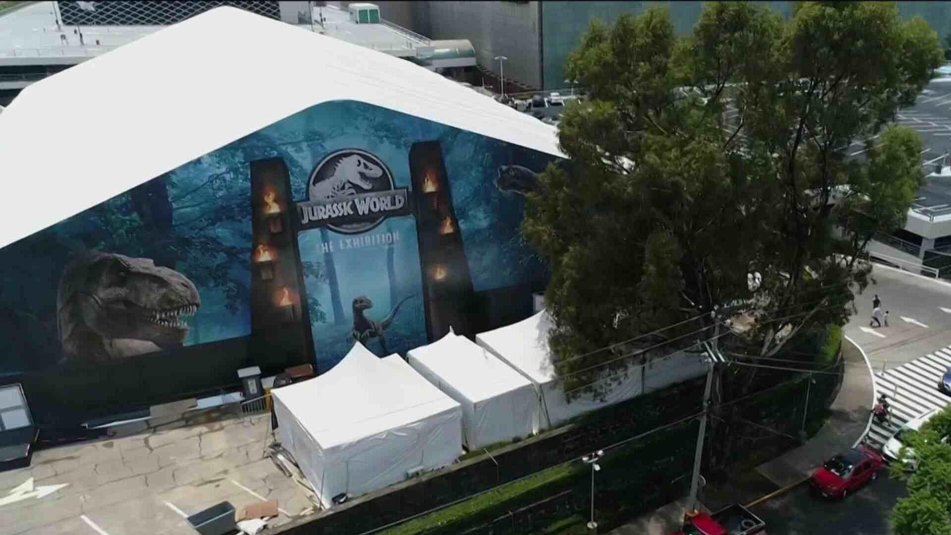 En Busca del Pterodáctilo Bebé, el Robo de los 2 MDP en Perisur