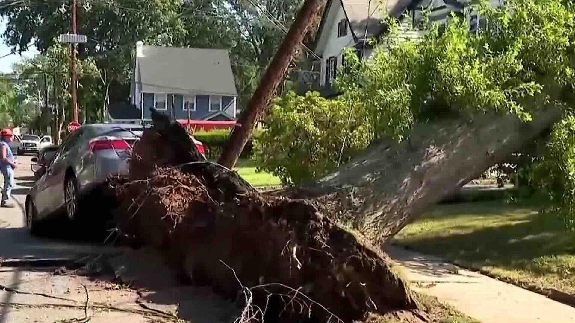 Tormenta en Nueva Jersey: Caída de Árboles Deja 3 Muertos y Causa Apagones Masivos