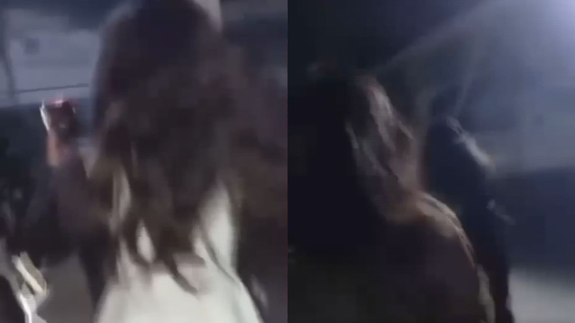 Video: Estudiantes Protagonizan una Pelea Callejera Afuera del BINE Puebla