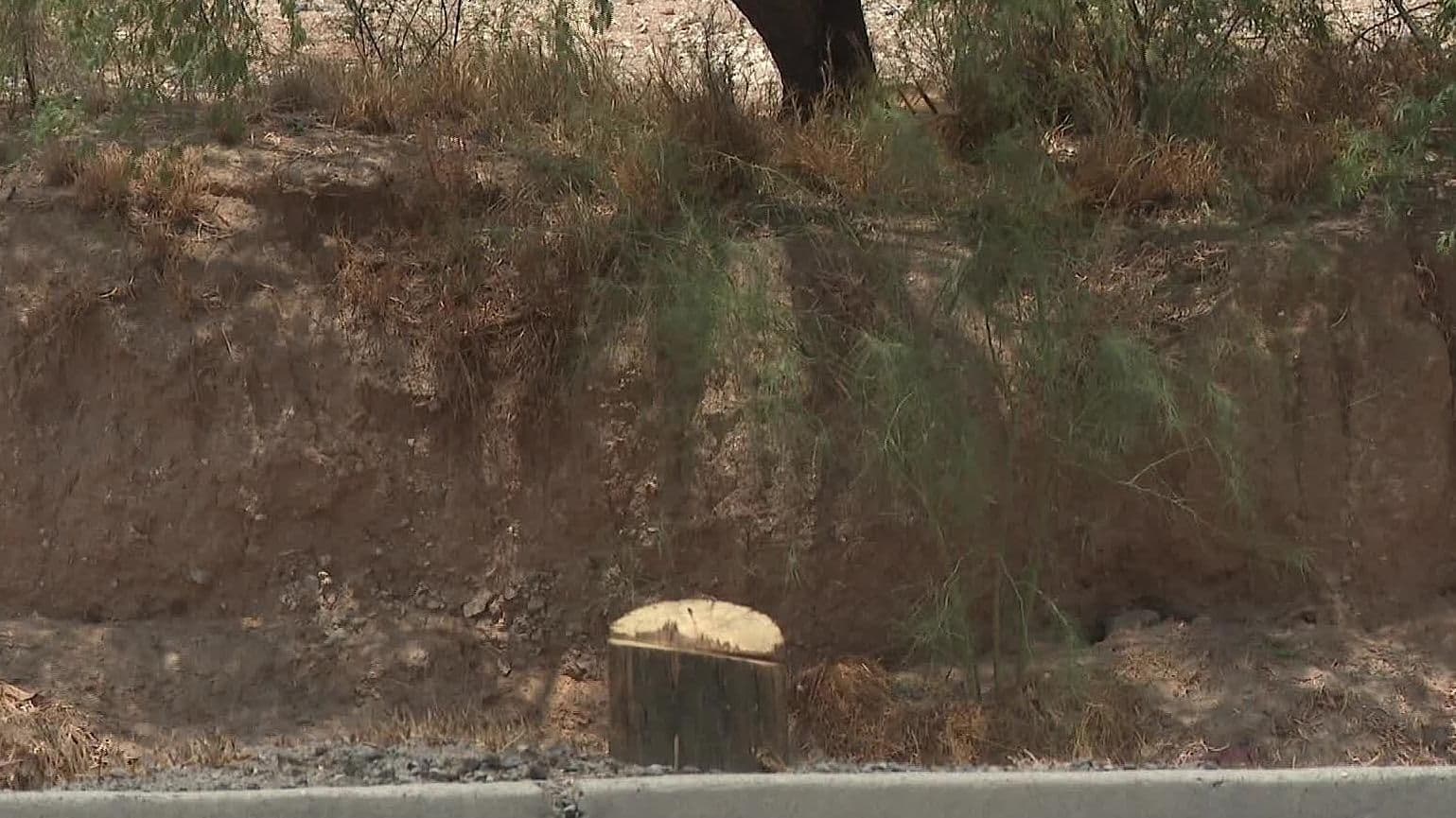 Detienen a Hombres Cortando Postes con Motosierra en Colonia Sahuaro