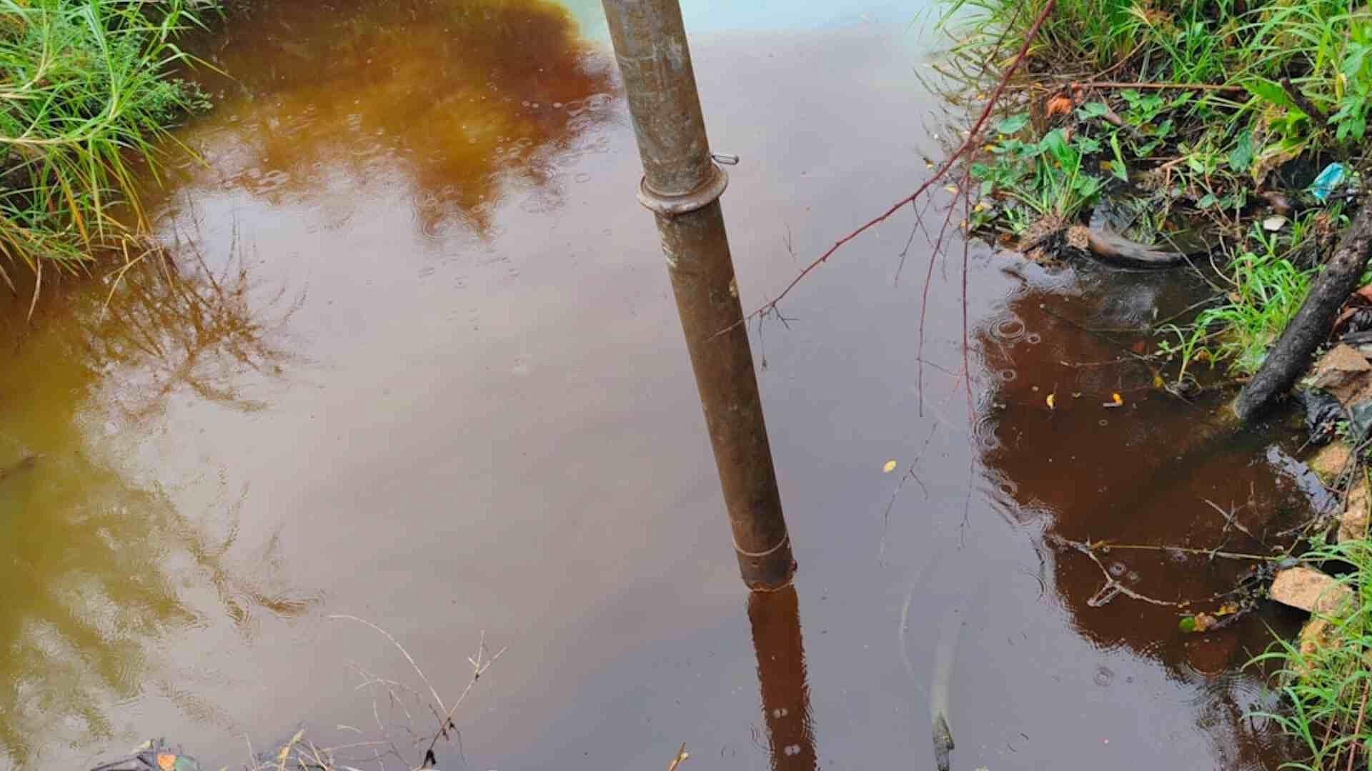 Tres Empresas Serán Inspeccionadas Tras Presunta Contaminación de Agua en Ixhuatlán del Sureste