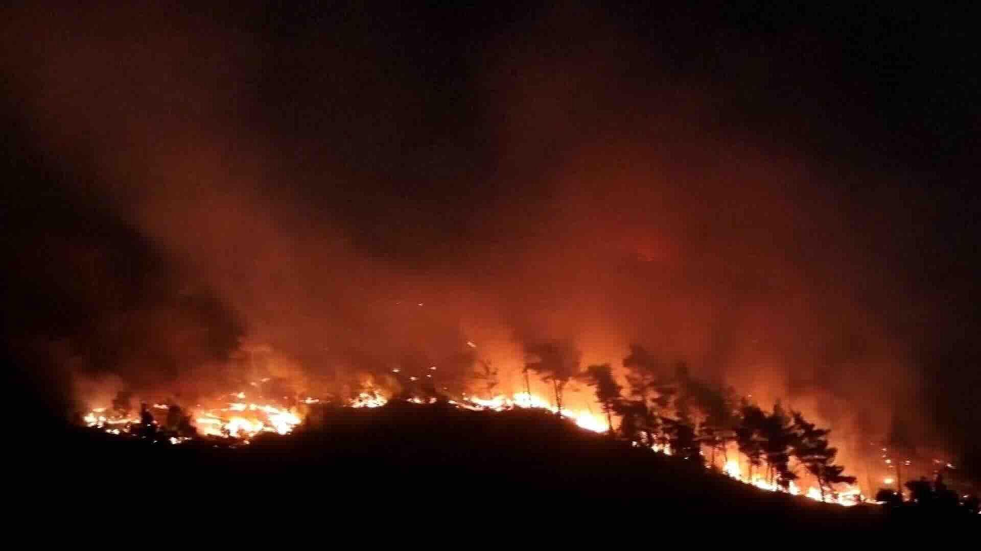 Combaten Incendios Forestales en Kassab, Siria, por Aire y Tierra con Apoyo Regional
