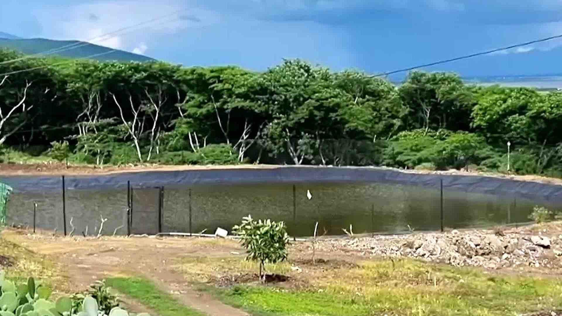 Denuncian a Ejidatarios en Guanajuato por Desviar Agua y Afectar Presa El Palote