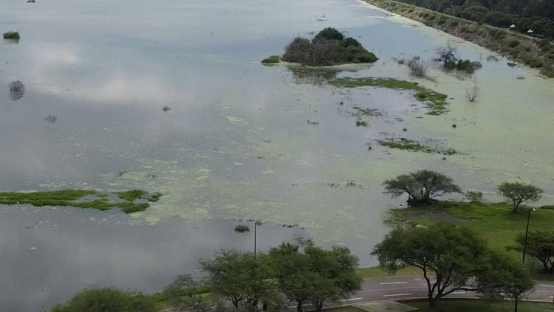 Presa El Palote Registra Más del 100% de su Capacidad en León