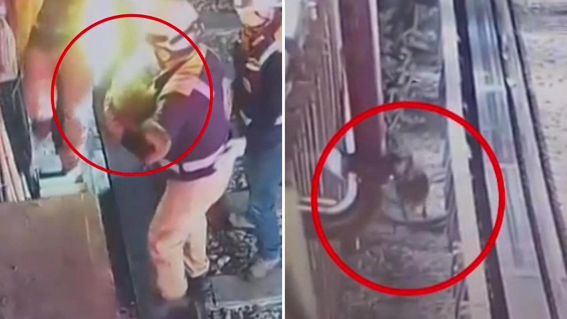 VIDEO: Rescatan a Perro de las Vías del Metro CDMX en la Estación Isabel la Católica