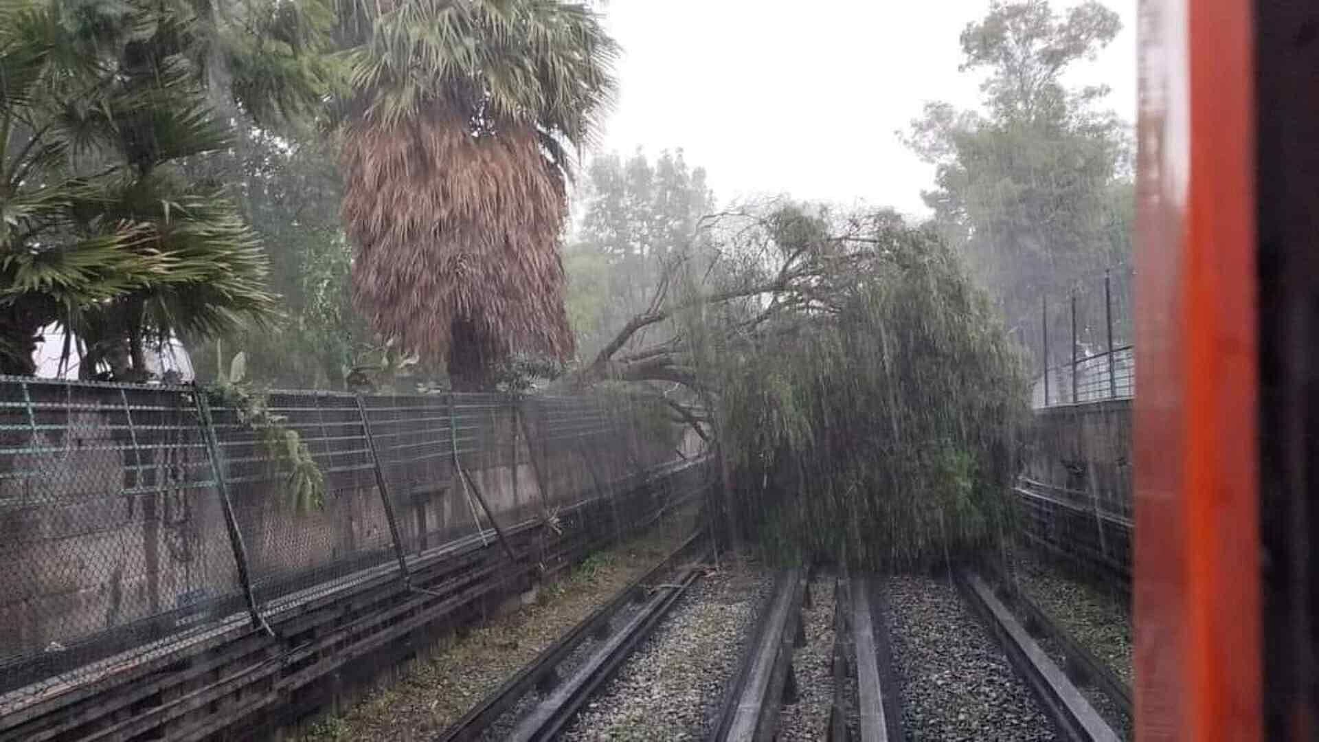 Por Caída de Árbol, Suspenden Servicio en Línea 5 del Metro de La Raza a Politécnico