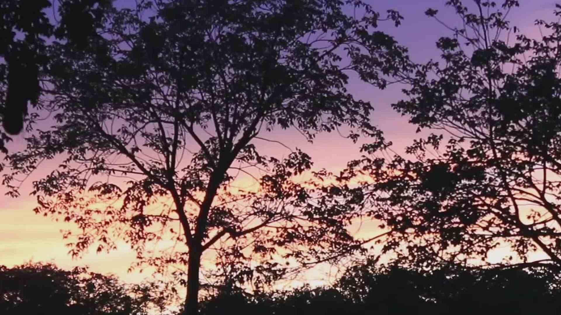 Polvo del Sahara: Llega la Tercera Ola a la Península de Yucatán