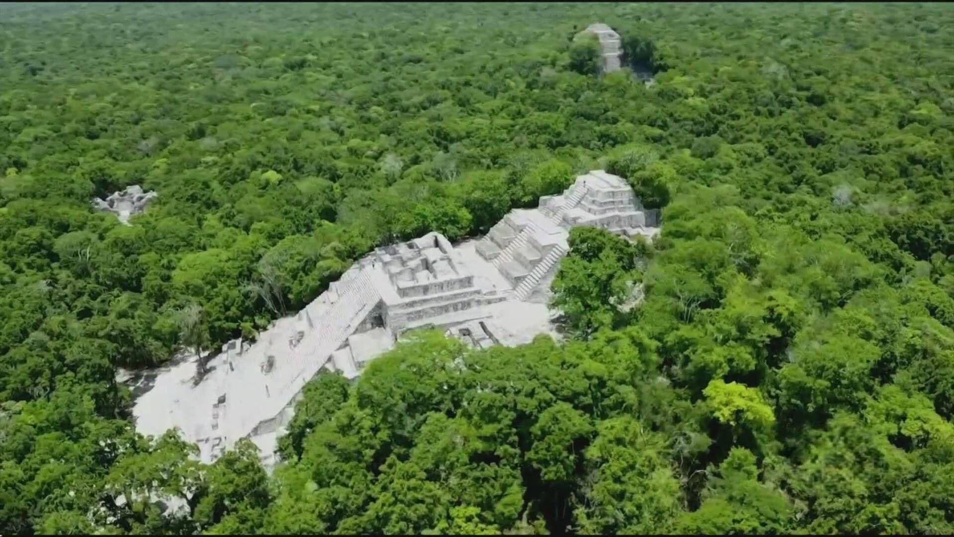 Estos Son los Secretos de la Pirámide Más Grande la Reserva de la Biósfera Calakmul, en Campeche