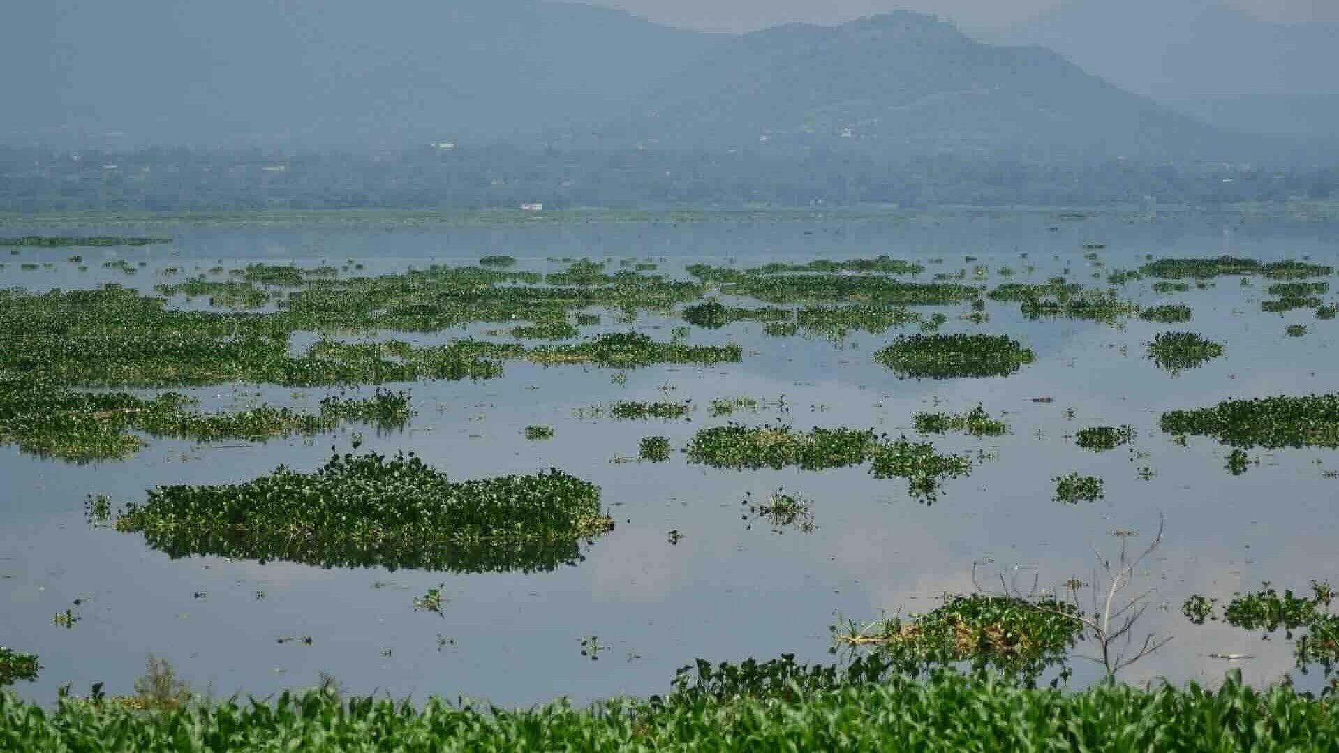 Alerta en Hidalgo: Presa Endhó Supera su Capacidad y Amenaza con Inundaciones