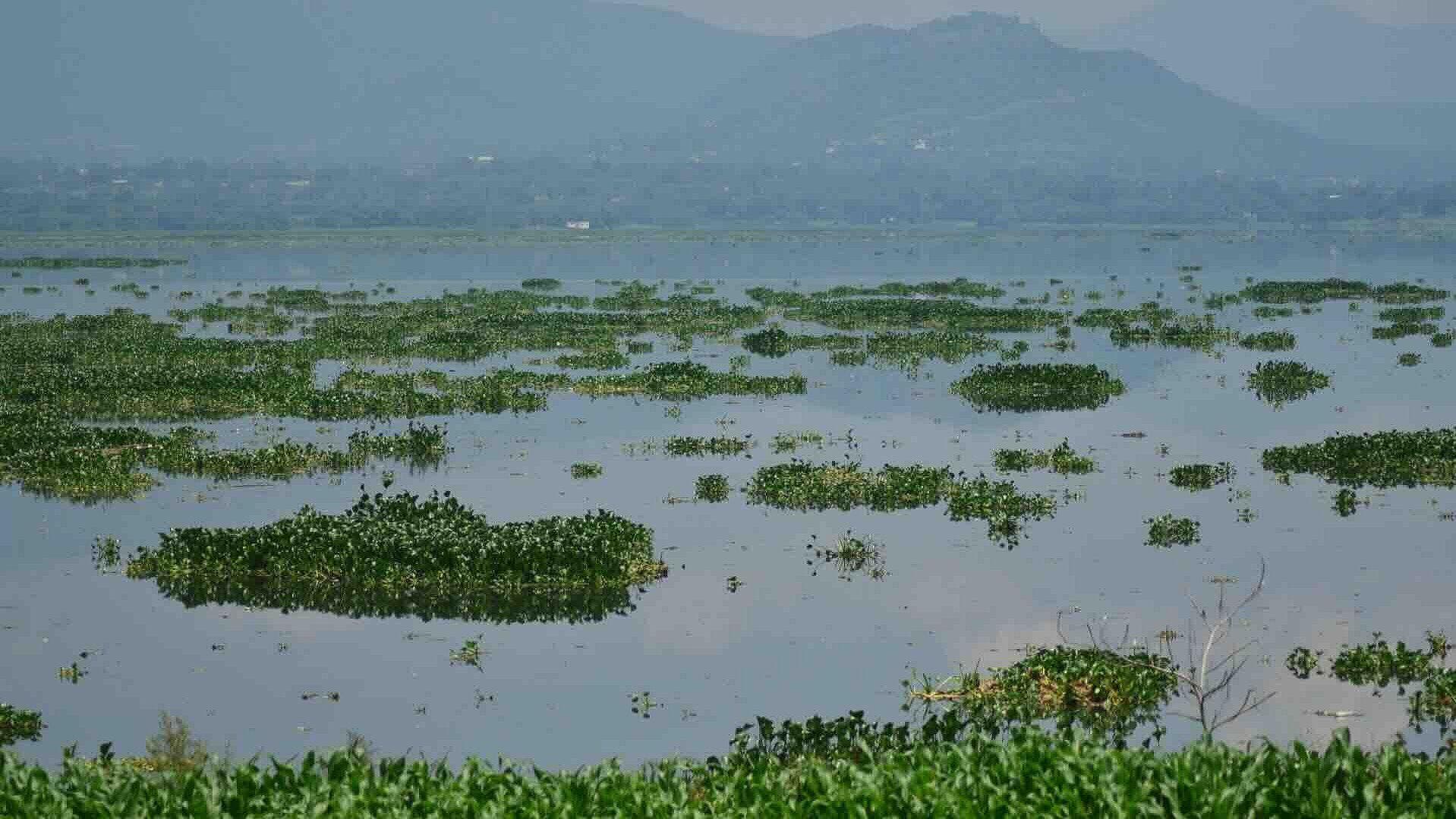 Alerta en Hidalgo: Presa Endhó Supera su Capacidad y Amenaza con Inundaciones