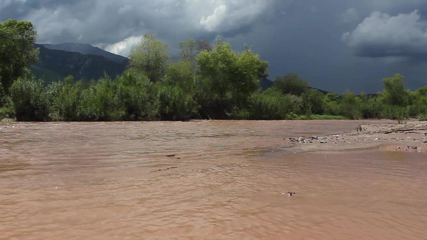 Organizan Festival por la Vida y Agua del Río Sonora 2025