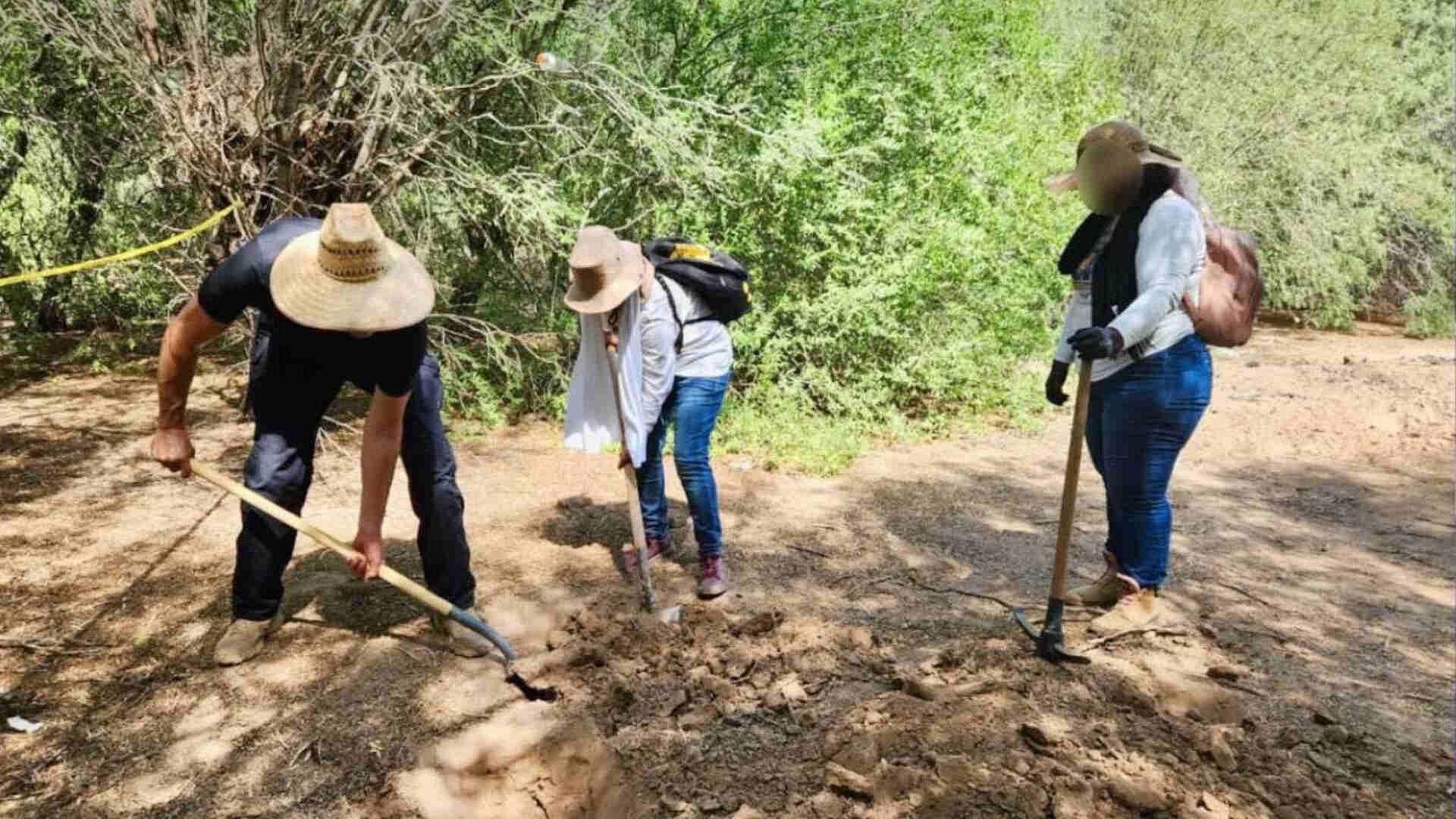 Encontraron 4 Fosas con Restos Humanos en Etchojoa
