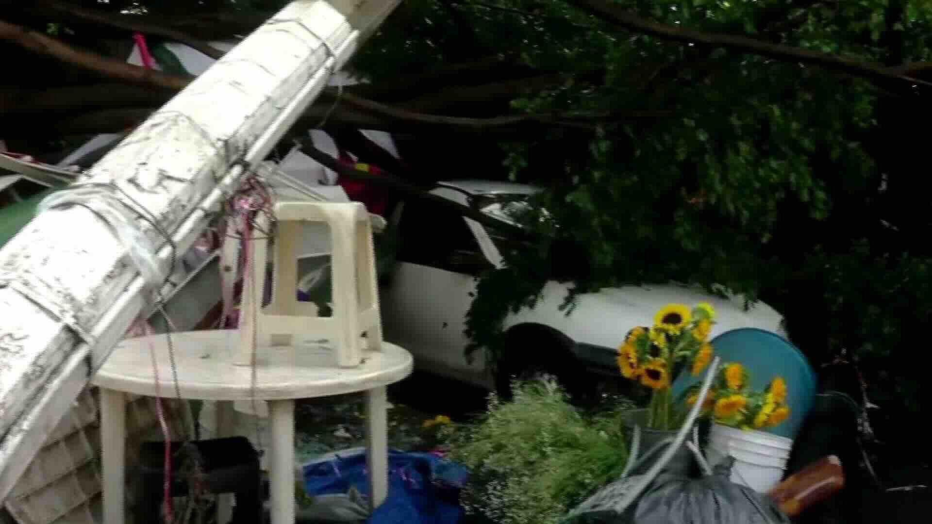 Árbol y Poste Caen Sobre Puestos y Auto en Loma Bonita, Zapopan; Sin Lesionados Graves