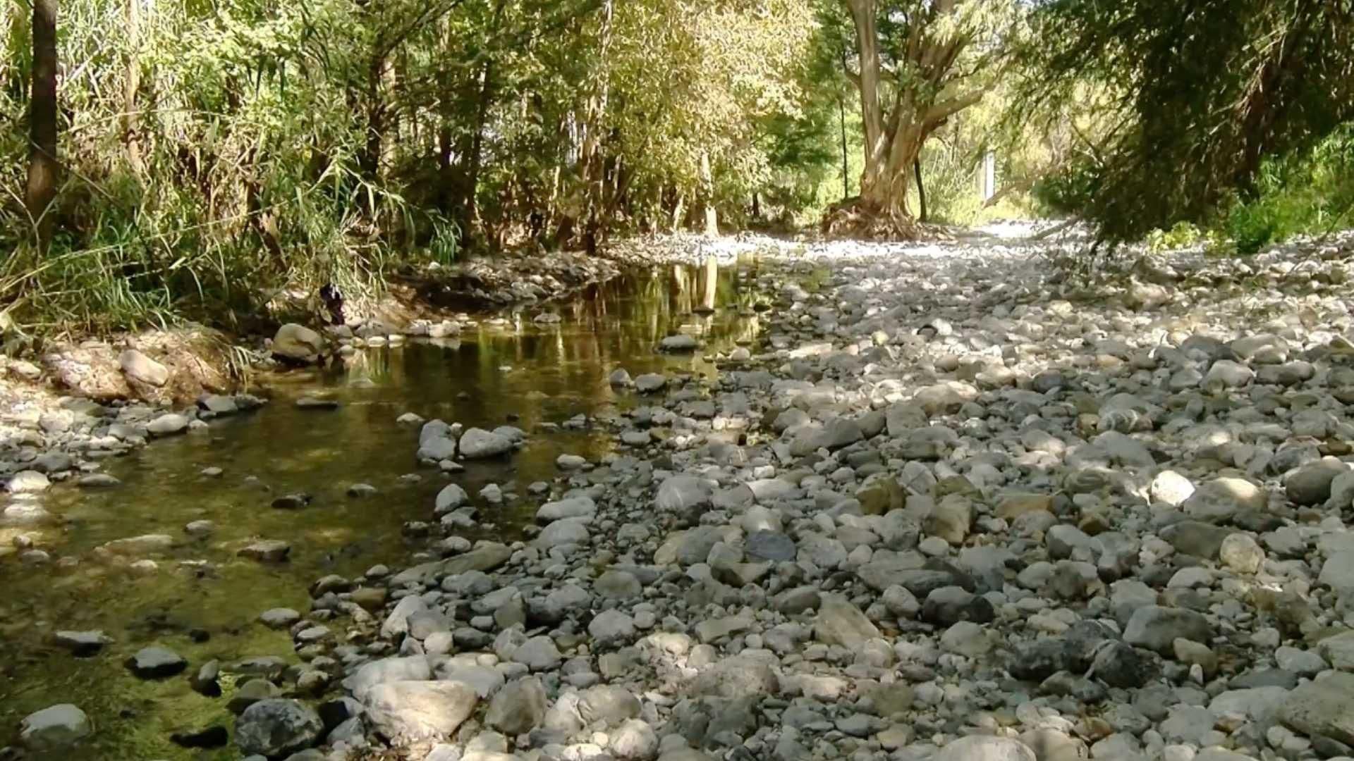 Bajo Nivel de Agua en el Río La Silla Preocupa a Vecinos en Colonias del Sur de Monterrey