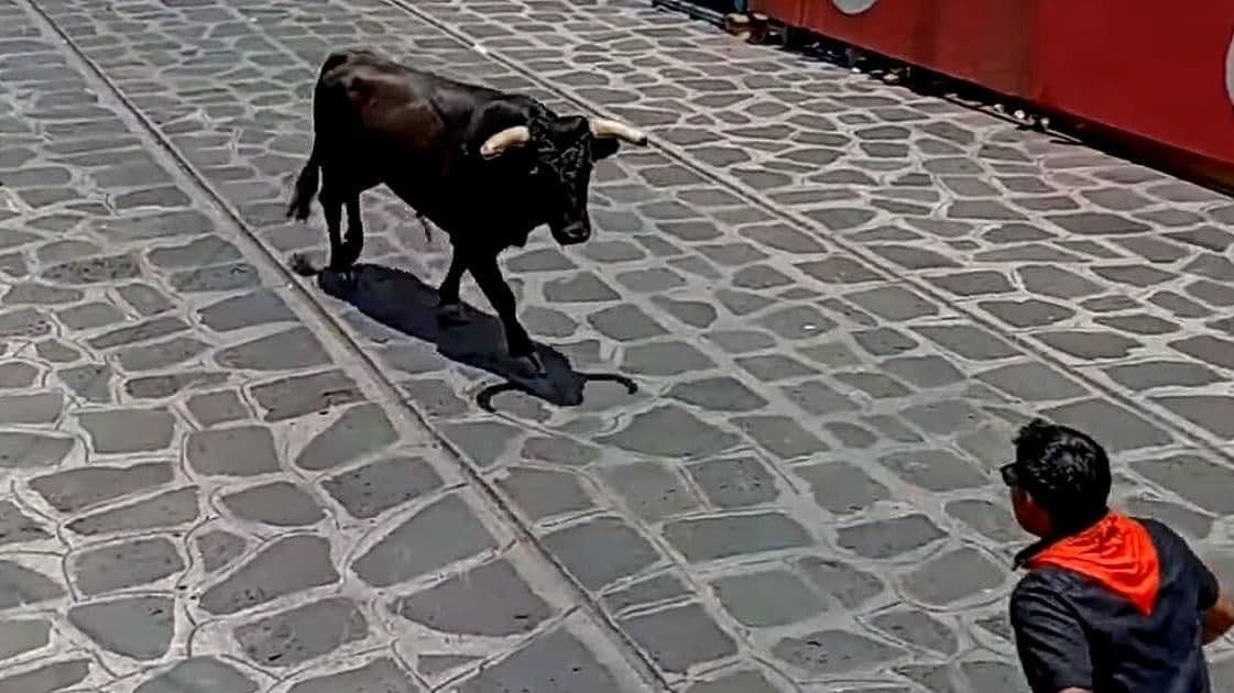 ‘Capea’ Deja 9 Lesionados en Xico, Veracruz