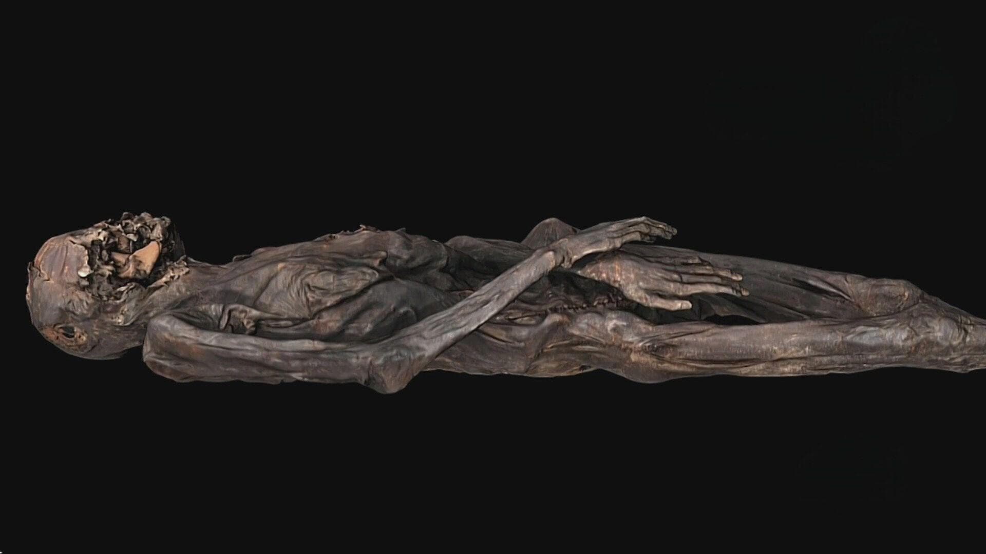 Arqueólogos Analizan la Piel de una Momia de 2 Mil Años de Antigüedad Descubierta en Siberia