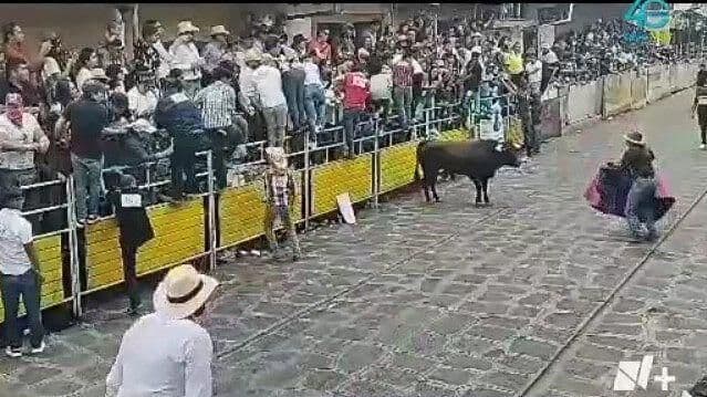 Fiestas Tradicionales en Xico Dejan Nueve Heridos