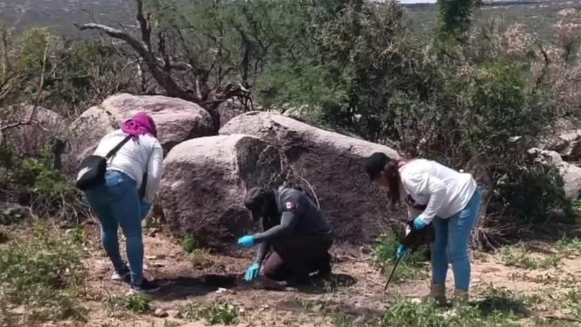 Investiga Fiscalía Hallazgo de Restos Óseos en Carretera Sáric - Sásabe, en Sonora