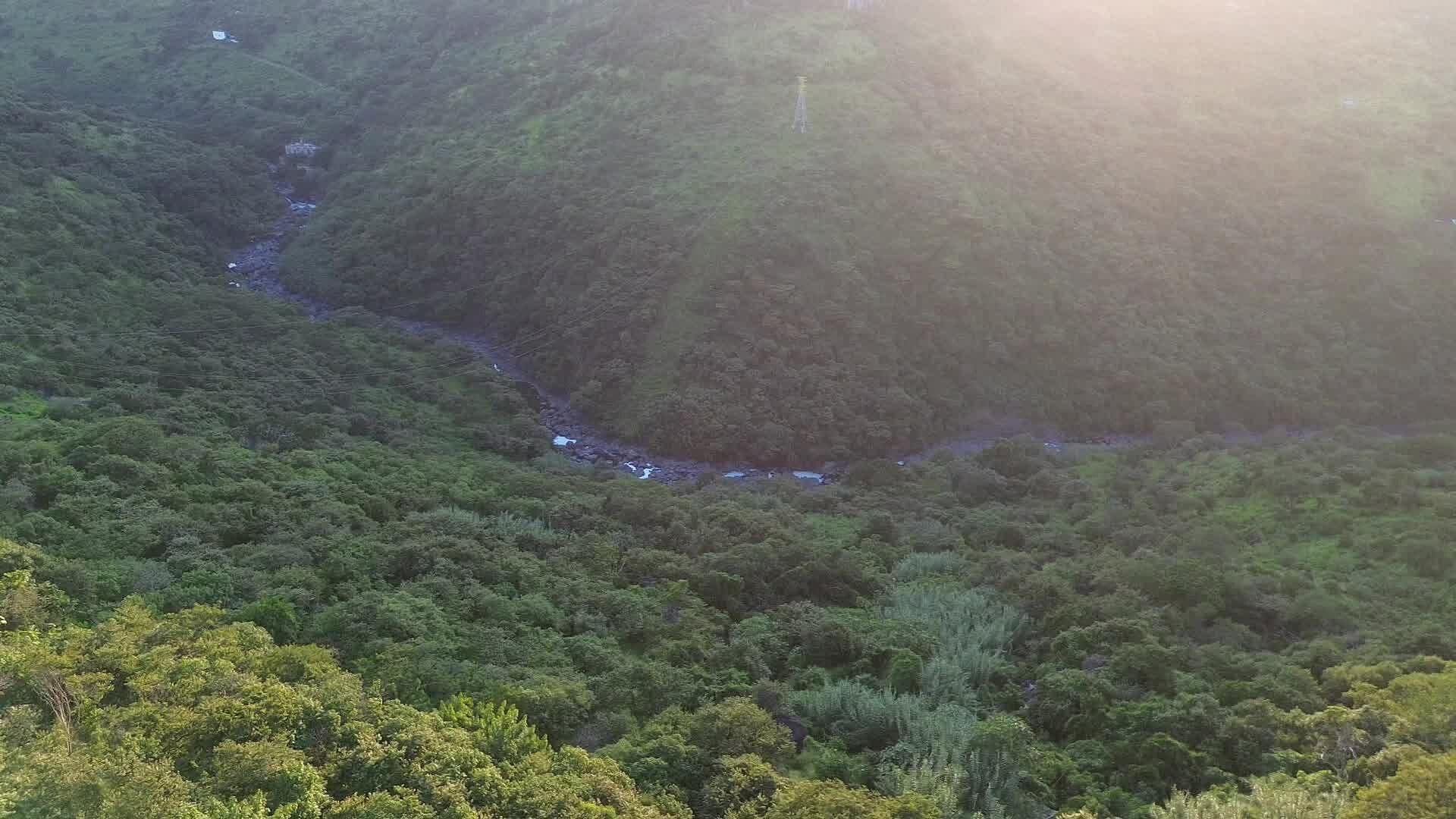 Localizan Extremidad Humana en la Barranca de Huentitán