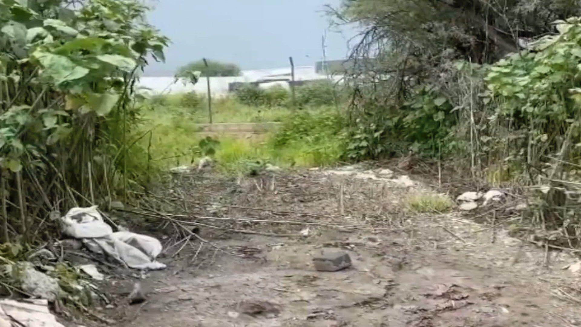 Asesinan a un Hombre en la Colonia La Providencia en León; Abandonan su Cuerpo a un Terreno