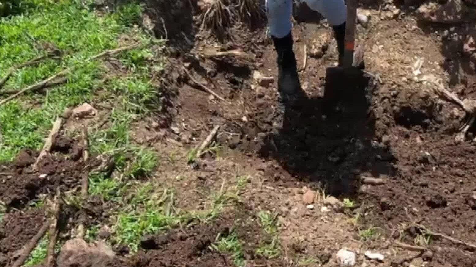 Colectivo Los Escarabajos Encuentra Restos Humanos en Valparaíso, Zacatecas