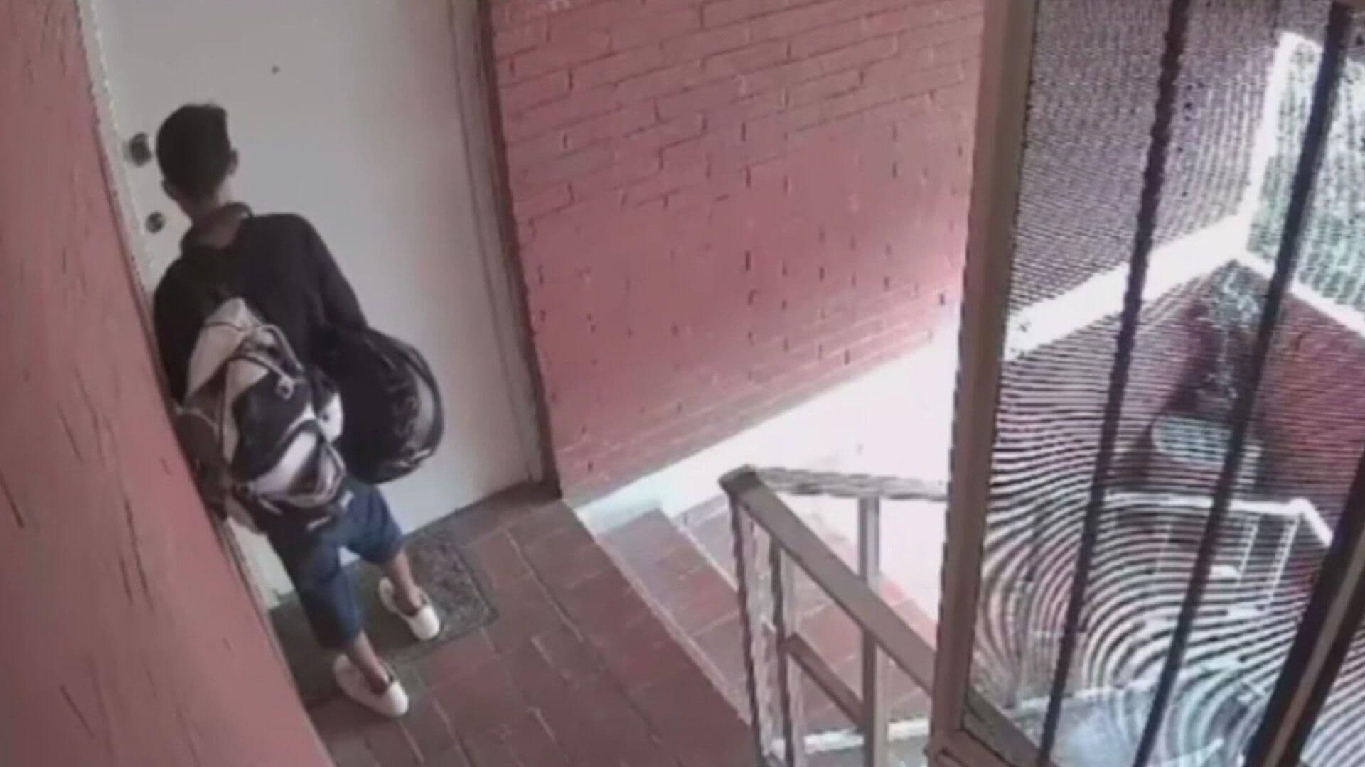 Cámaras de Seguridad Captan a Ladrón en Condominios Constitución en Monterrey