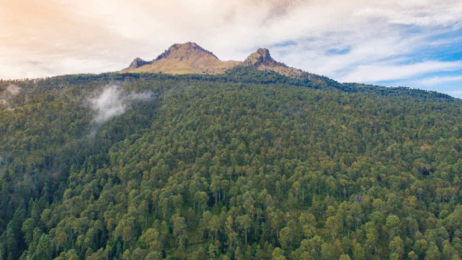 Artesanas de La Malinche, Puebla, Combaten a Talamontes con Cursos de Conciencia Ecológica